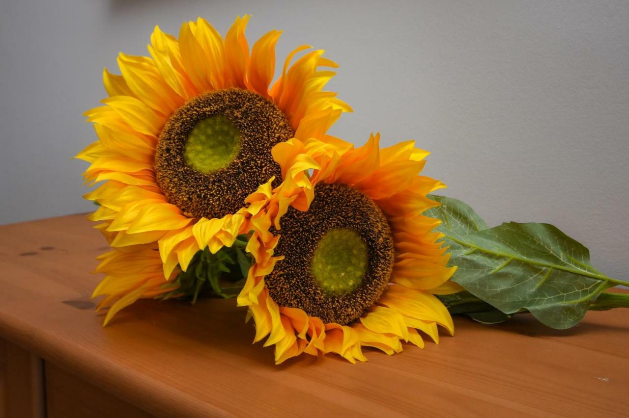 Desenzanoloft Official Partner Marriott Homes & Villas - The Sunflower Front Lake Desenzano del Garda Exteriör bild